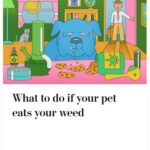 2024-06-25_Washington-Post_MoreOnDogs_8