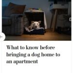 2024-06-25_Washington-Post_MoreOnDogs_9