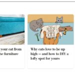 2024-06-25_Washington-Post_MoreOnPets_0_MAIN
