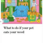 2024-06-25_Washington-Post_MoreOnPets_11