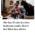 2024-06-25_Washington-Post_MoreOnPets_13