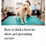 2024-06-25_Washington-Post_MoreOnPets_14