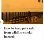 2024-06-25_Washington-Post_MoreOnPets_15