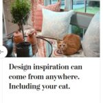 2024-06-25_Washington-Post_MoreOnPets_19