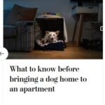2024-06-25_Washington-Post_MoreOnPets_3
