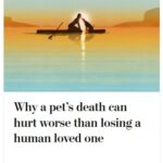 2024-06-25_Washington-Post_MoreOnPets_4