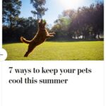 2024-06-25_Washington-Post_MoreOnPets_5