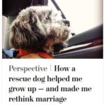 2024-06-25_Washington-Post_MoreOnPets_6