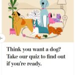 2024-06-25_Washington-Post_MoreOnPets_7