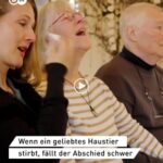 DW-Euromaxx_Tierbestattung-Albstadt_thumbnail