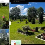 Tierbestattung Tierfriedhof Stuttgart