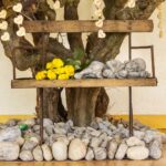Tier Baum (Tierwald) Die schönste Art der Tierbestattung – Pauluskiche Pfeffingen Tierbestattungskirche der Schönhalde Tierbestattung Albstadt