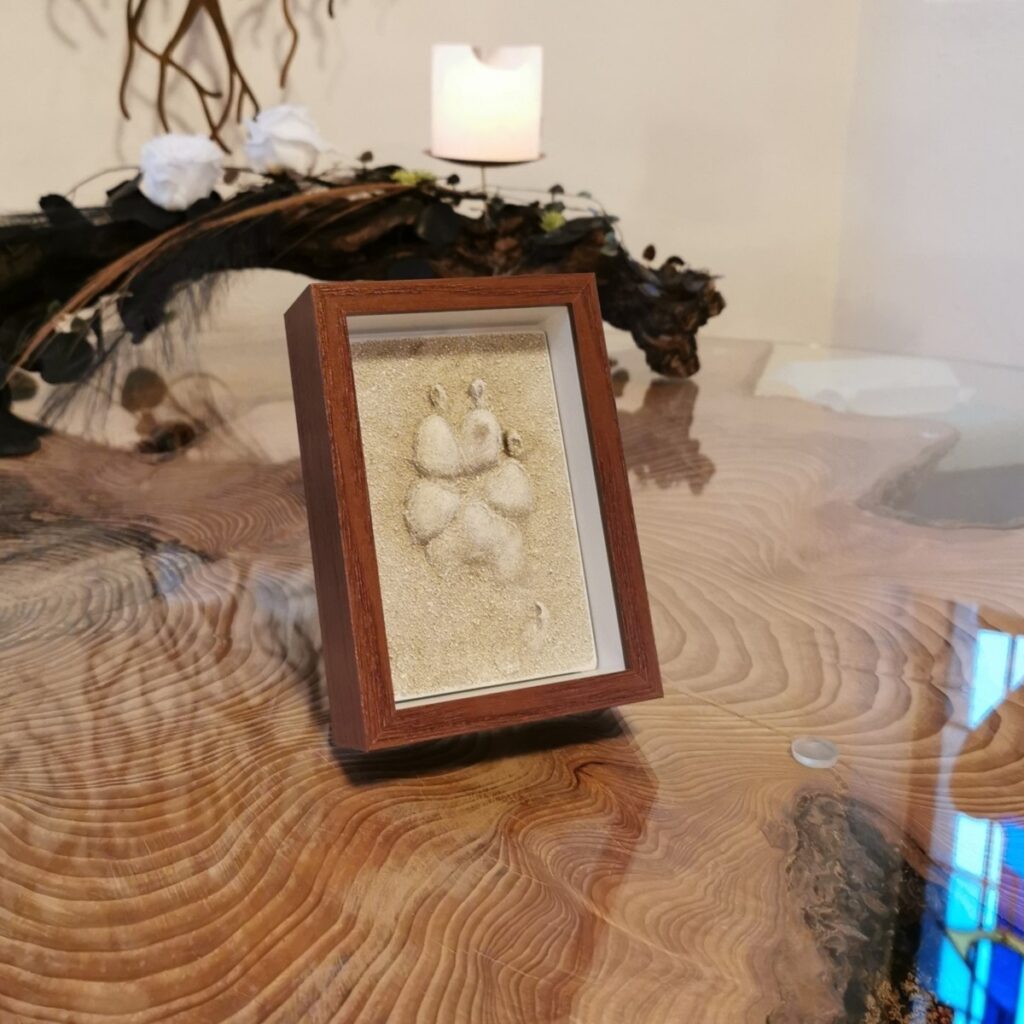 3D-Pfotenabdruck Gips im Bilderrahmen Pfötchenabdruck Hund Katze Kaninchen Leguan Haustier Abdruck Rahmen Holz dunkel