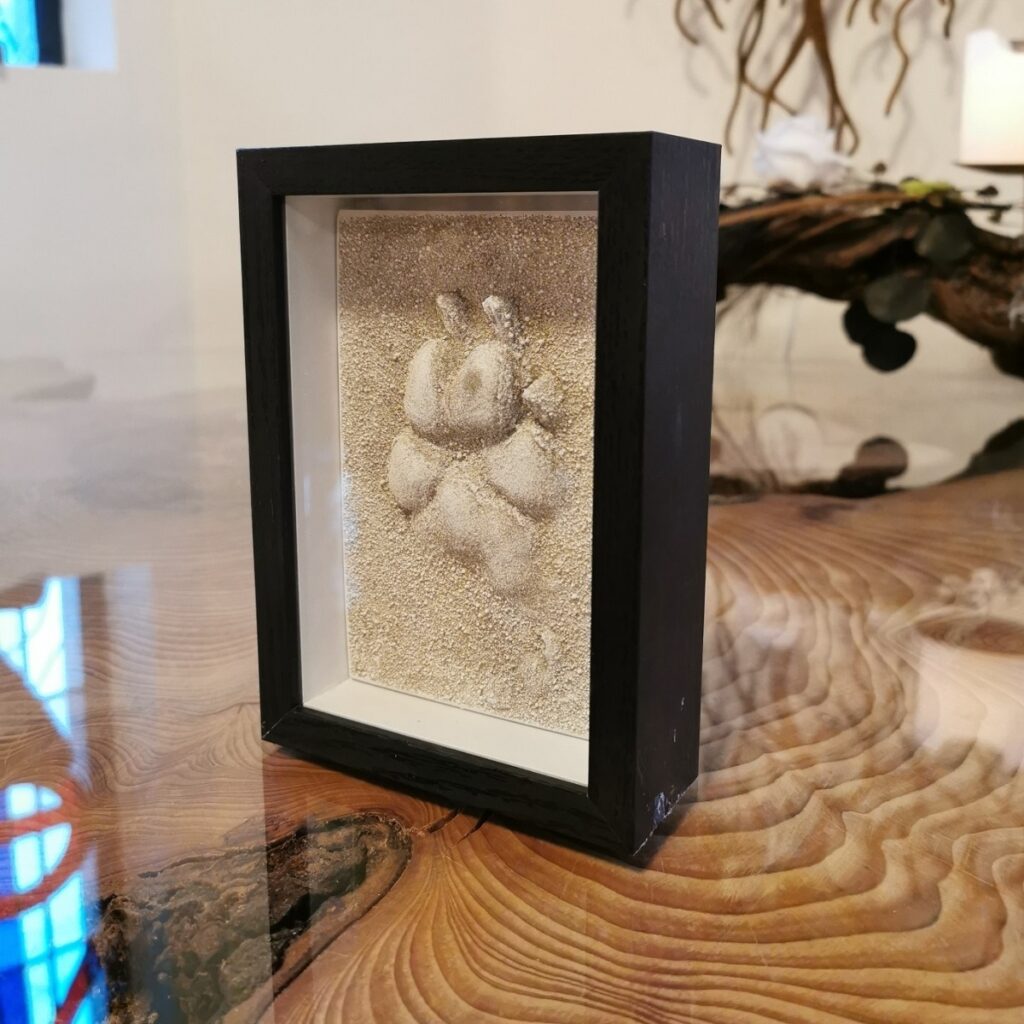 3D-Pfotenabdruck Gips im Bilderrahmen Pfötchenabdruck Hund Katze Kaninchen Leguan Haustier Abdruck Rahmen schwarz