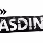 presse-dasding-logo-1732550607141-swr-dasding-logo