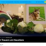 ARD-alpha-DW-Euromaxx-Tierbestattung-Albstadt-Pauluskirche_thumbnail