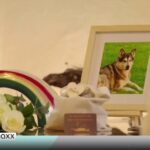 thumbnail-DW-Euromaxx_ARD-alpha_03-11-2024_1024-576