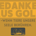 banner-gedanken-ausg-old-podcast-tierbestattung-ellen-weinmann