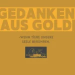 banner-gedanken-ausg-old-podcast-tierbestattung-ellen-weinmann-2