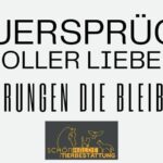 Trauersprüche: wenn ein Tier stirbt und „Die letzte Reise“ über die Regenbogenbrücke