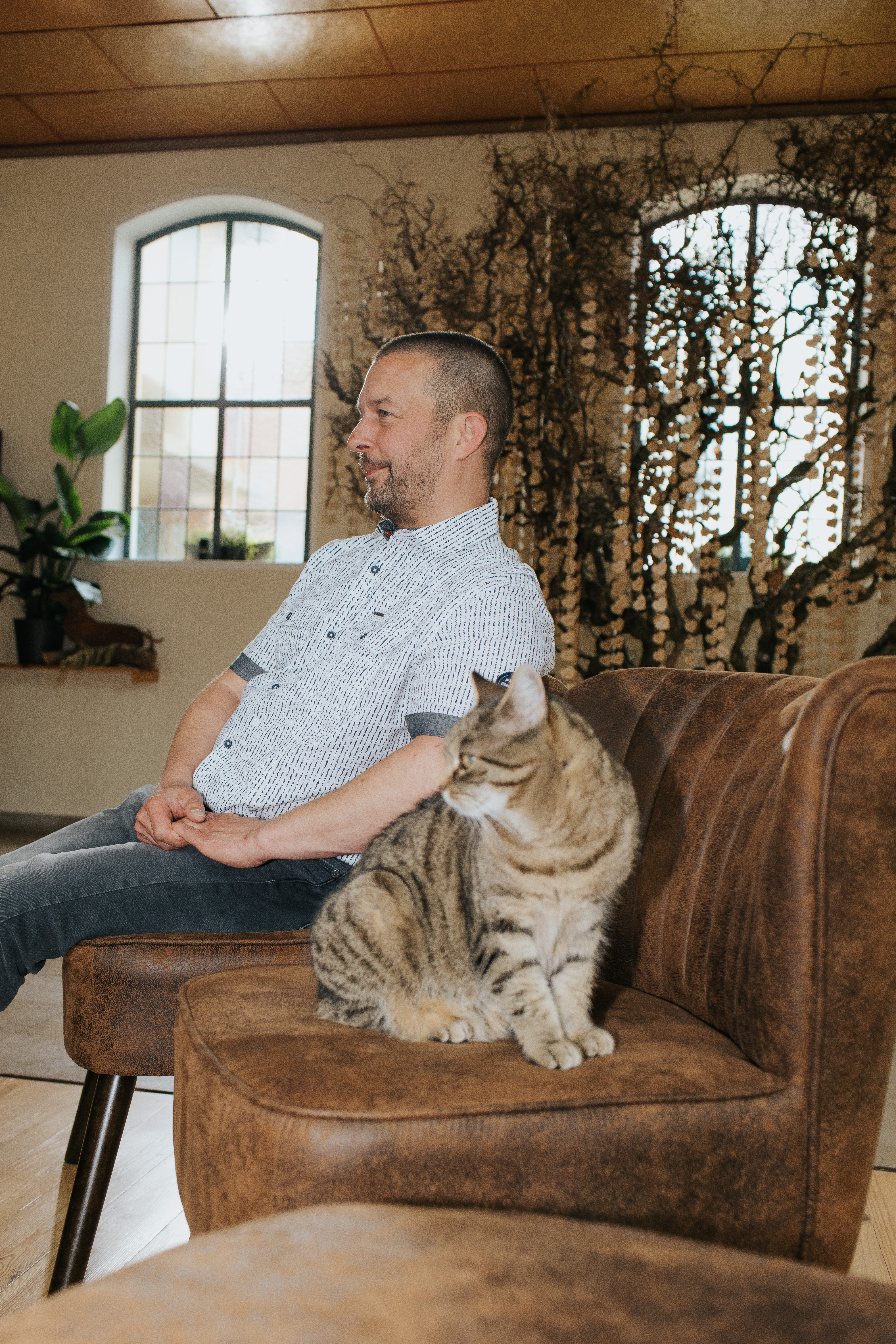Katze auf Sessel in der Pauluskirche der Tierbestattung Schönhalde in Albstadt - Foto: Daniela Reske