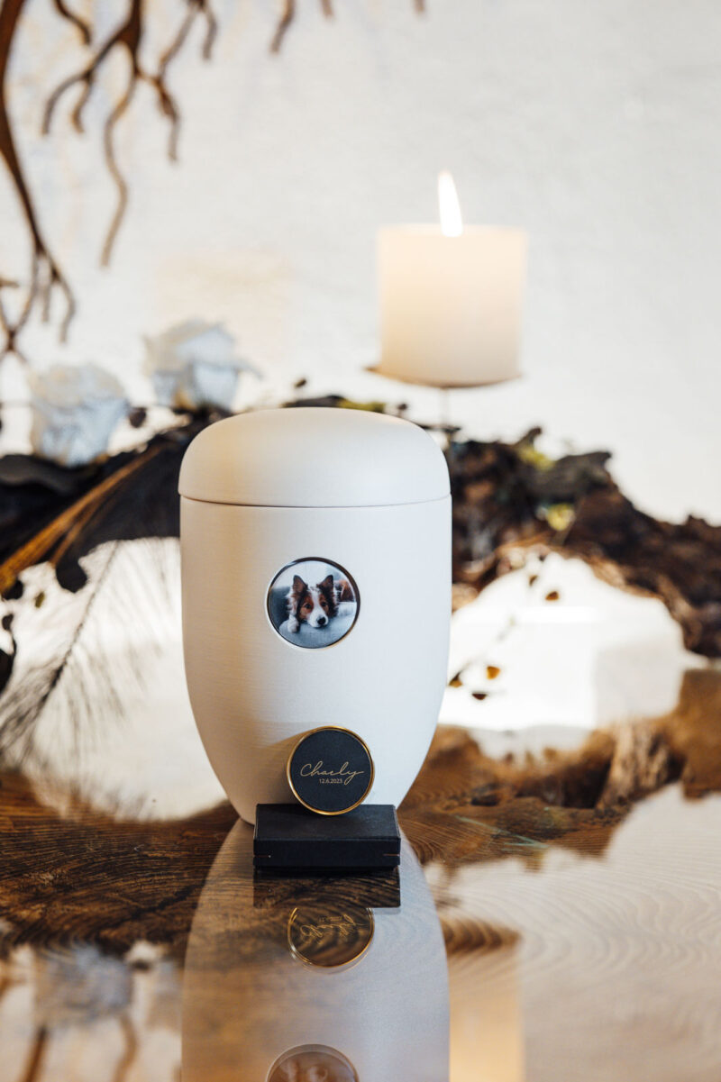 Nachhaltige Bio Tierurne aus Natur-Ton 1,7 Liter Modell Cloud mit Foto oder Fell Button - in Deutschland hergestellt - Tierbestattung Schönhalde