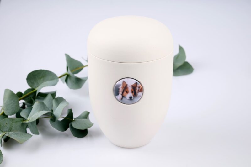 Nachhaltige Bio Tierurne aus Natur-Ton 1,7 Liter Modell Cloud mit Foto oder Fell Button - in Deutschland hergestellt - Tierbestattung Schönhalde