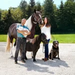 hero_tierbestattung_neu