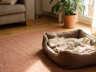 Hund zu Hause einschläfern lassen: Ablauf und Kosten